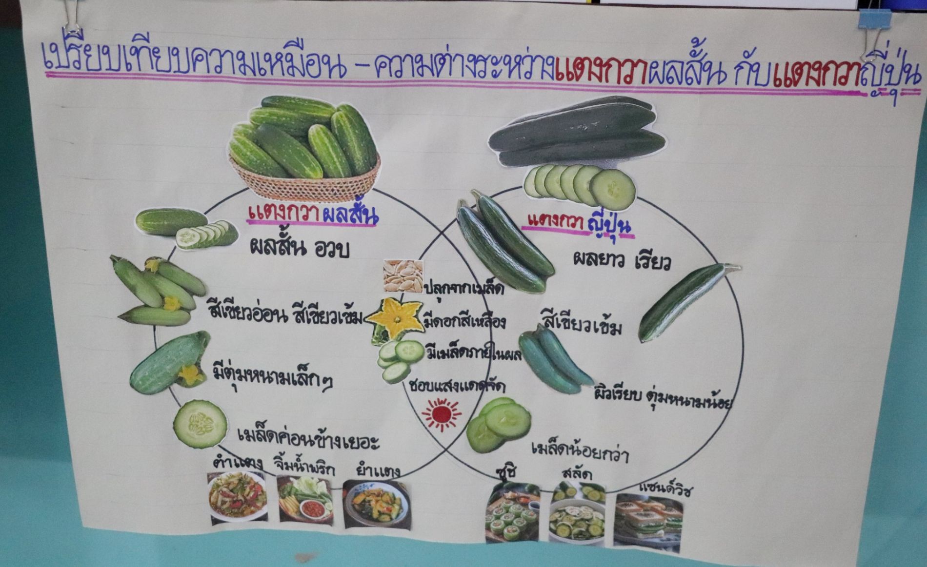 23 ก.ย. 69 นิเทศฯ เซนต์ปีเตอร์ ธนบุรี 27