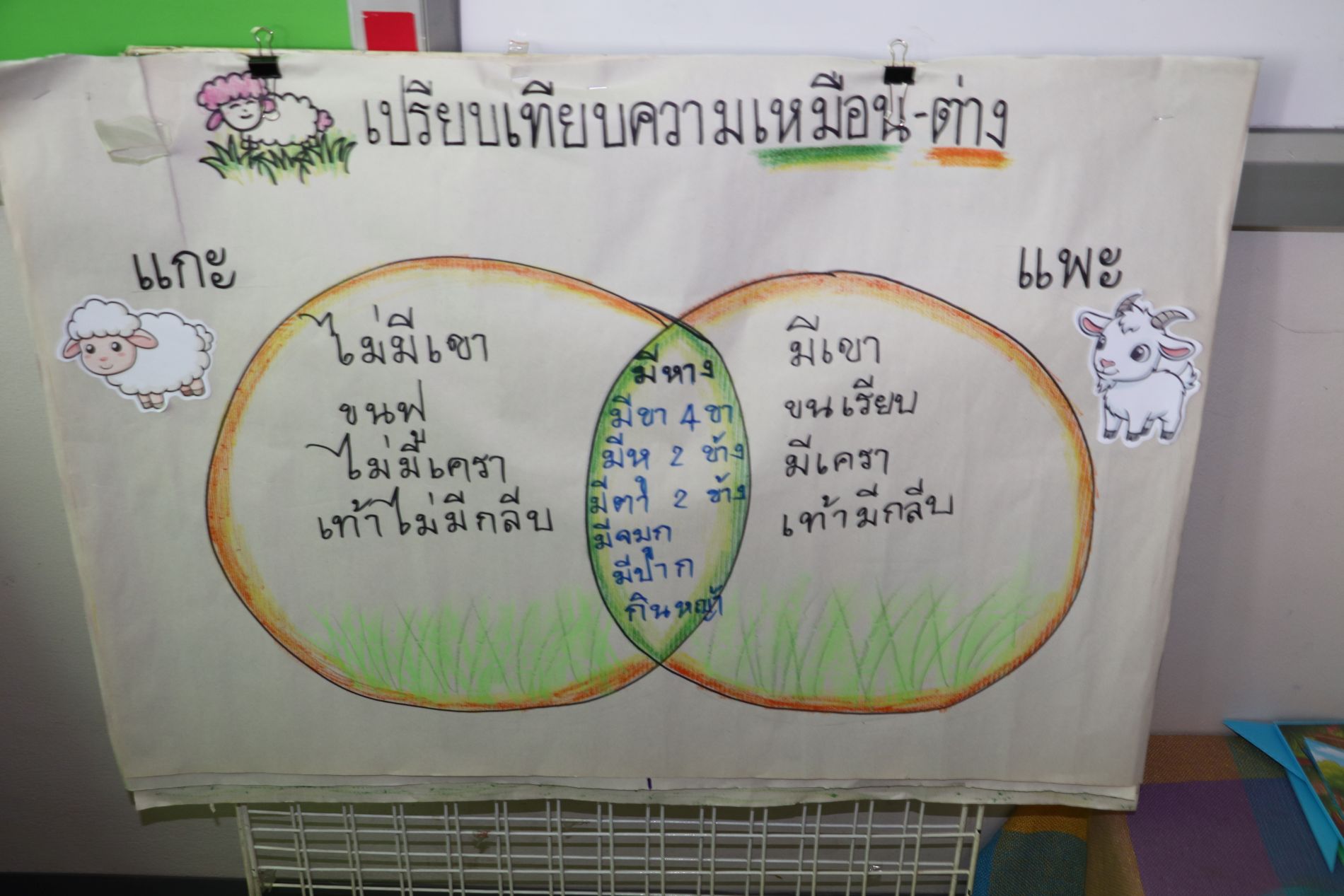28 ส.ค. 69 นิเทศฯ แม่พระฟาติมา 20 1