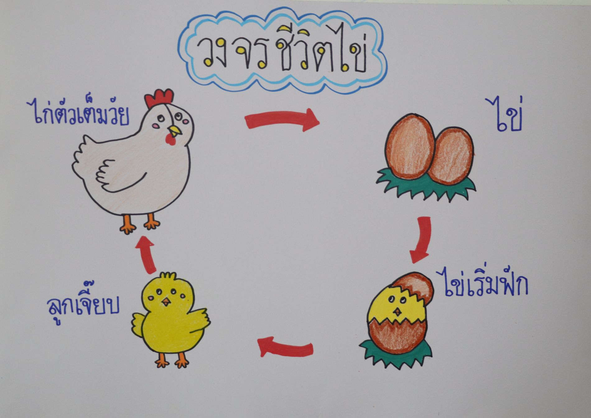 3 ก.ย. 69 นิเทศฯ เซนต์แอนโทนี 18