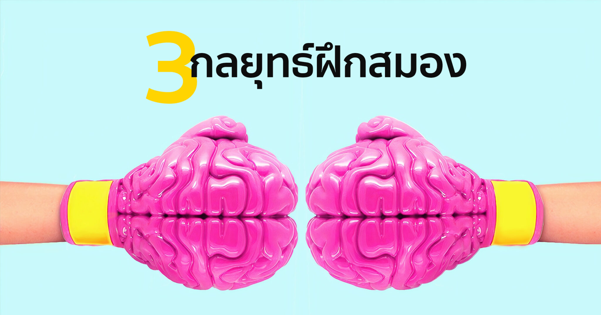 brain