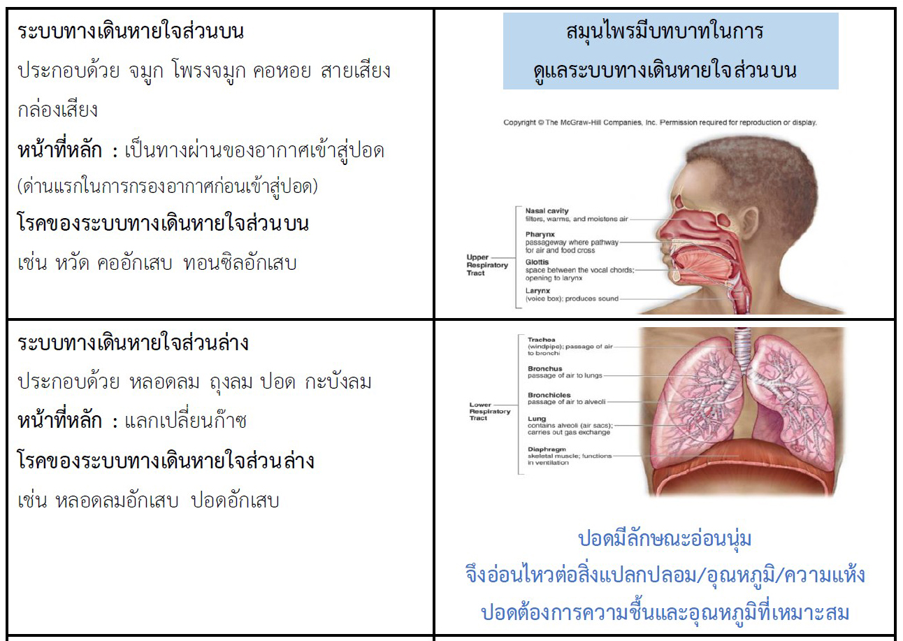 12 ก.ค 64 คู่มือดูแลสุขภาพโควิดรอบ 3 7