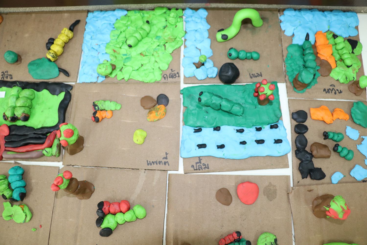 12 ก.ย. 67 นิเทศฯ ดาราสมุทร 21