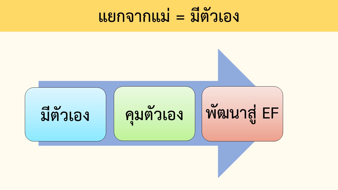 13 พ.ค. 68 เนอสเซอรี่ 24