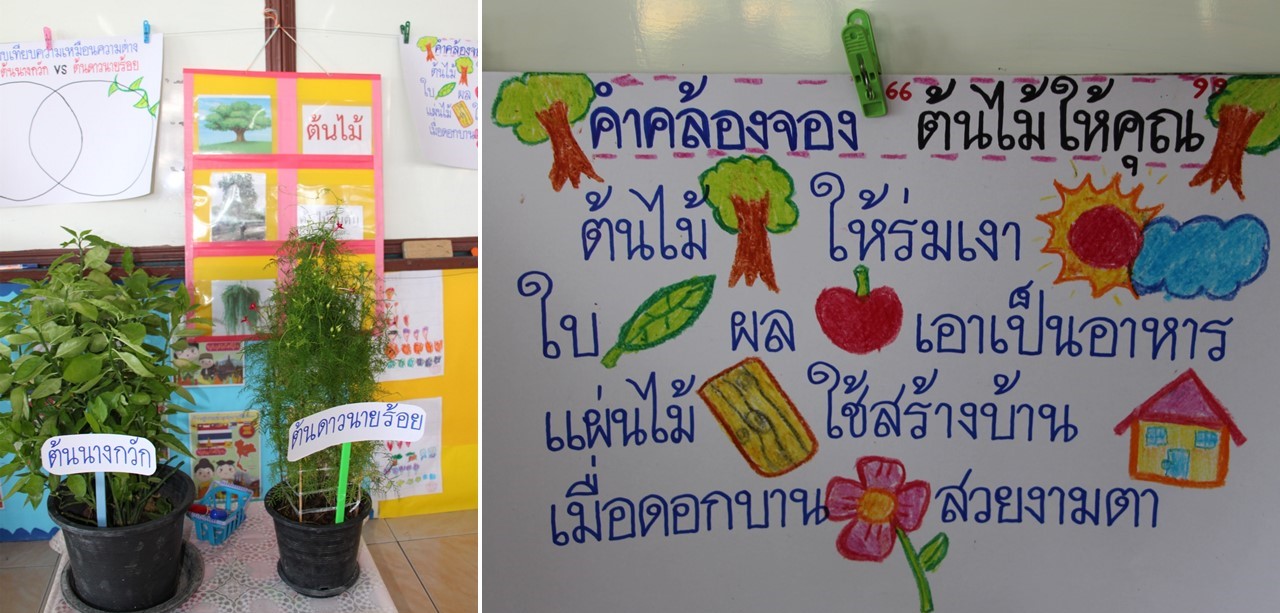 13 พ.ย. 66 นิเทศฯ รร.แสงทอง 25
