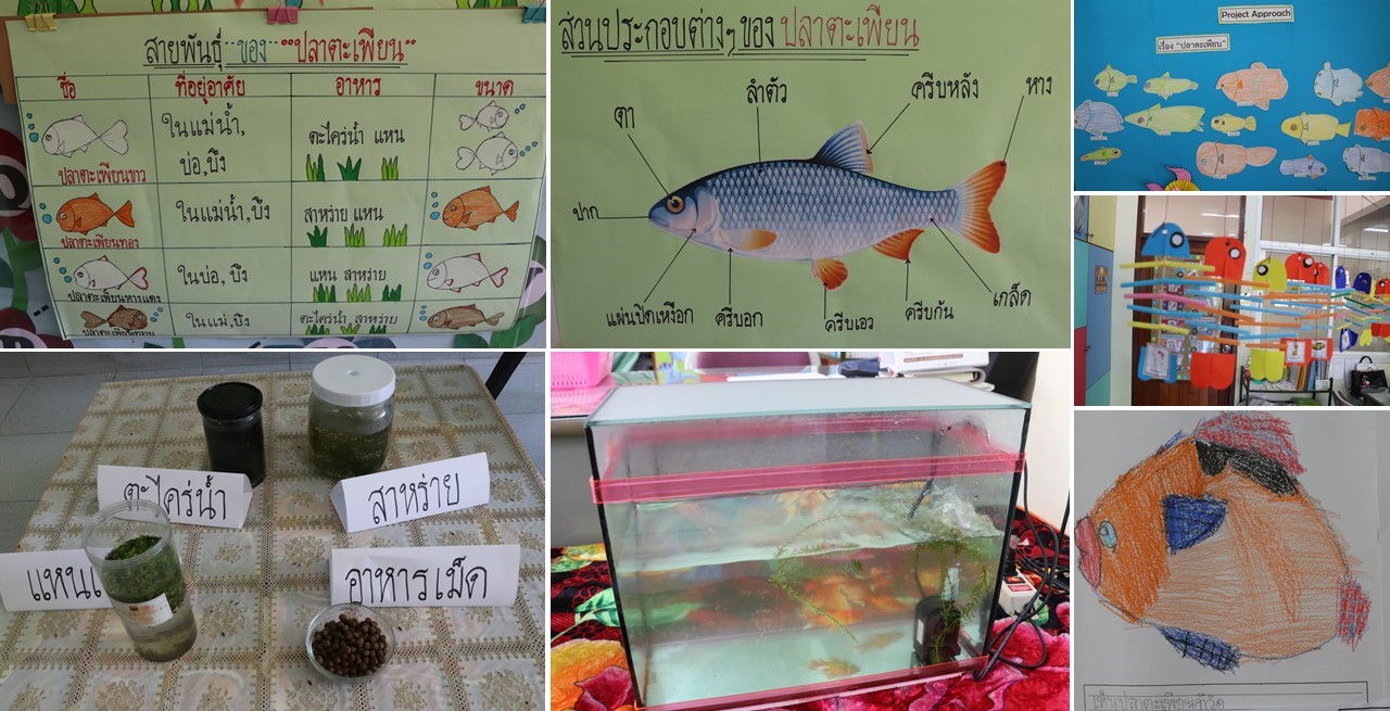 15 พ.ย. 66 นิเทศฯ รร.อู่ทอง 31 7