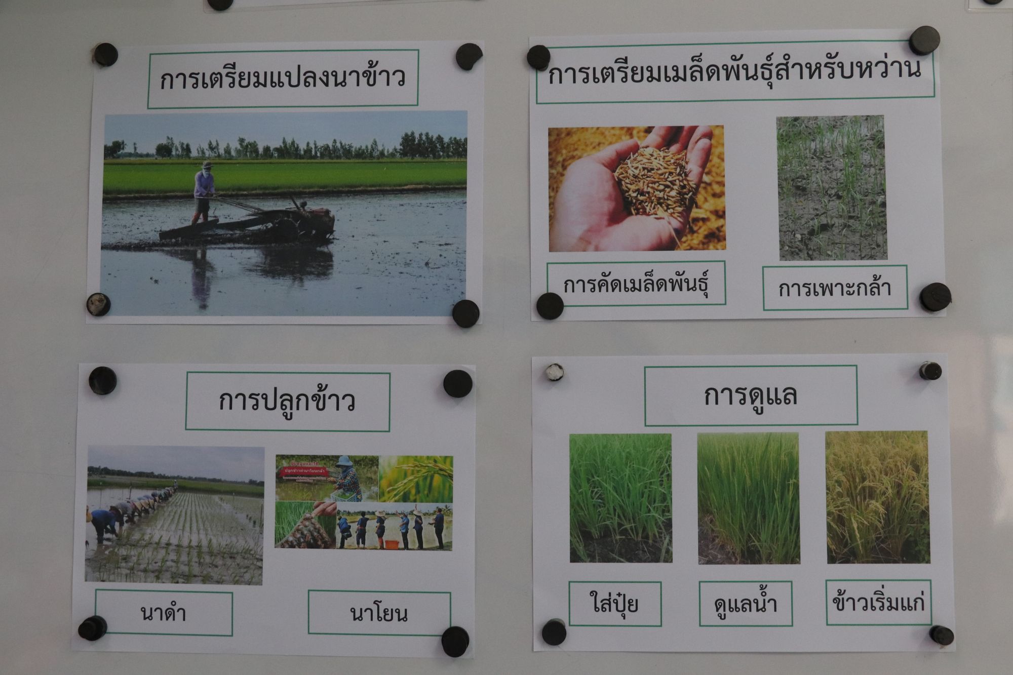 17 กันยายน 68 นิเทศฯ เซนต์ปีเตอร์ฯ 5