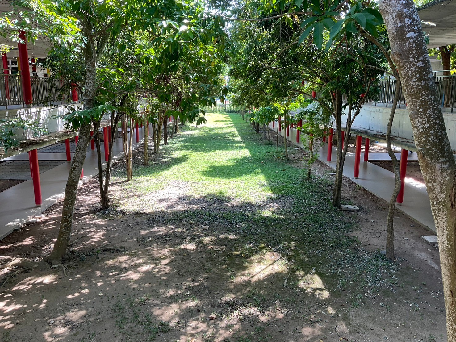 19 พ.ย. 67 รร.ประภัสสรคุณธรรม 40 3