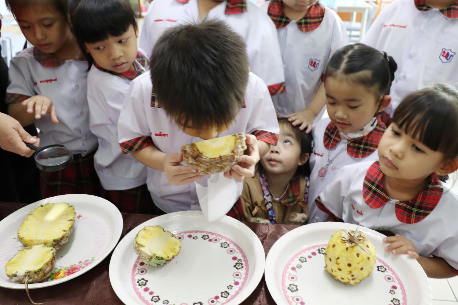 21 พ.ย. 67 นิเทศฯ นักบุญเปโตร 13