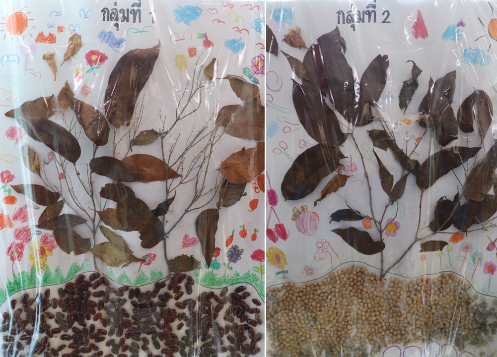 21 พ.ย. 67 นิเทศฯ นักบุญเปโตร 25
