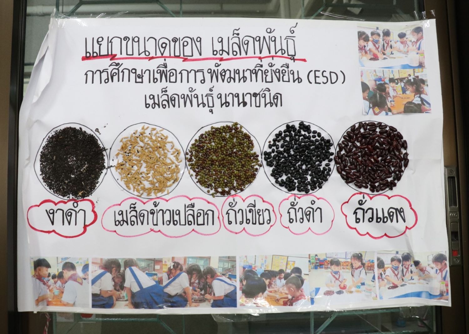 22 พ.ย. 66 มารดานฤมล 20