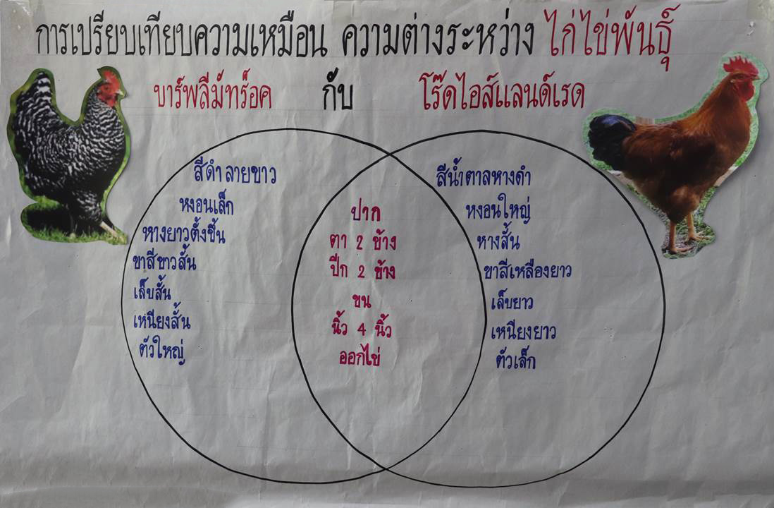 23 ก.ย. 65 นิเทศฯ รร.นักบุญเปโตร 4