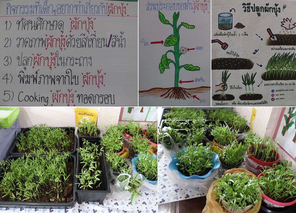 4 ก.ย. 67 นิเทศฯ เซนต์แอนโทนี 13