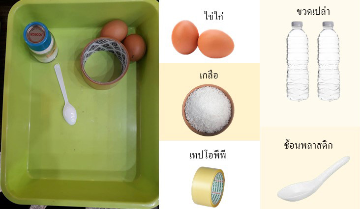 5 6 พ.ค. 65 ทบทวนวิทย์ 24