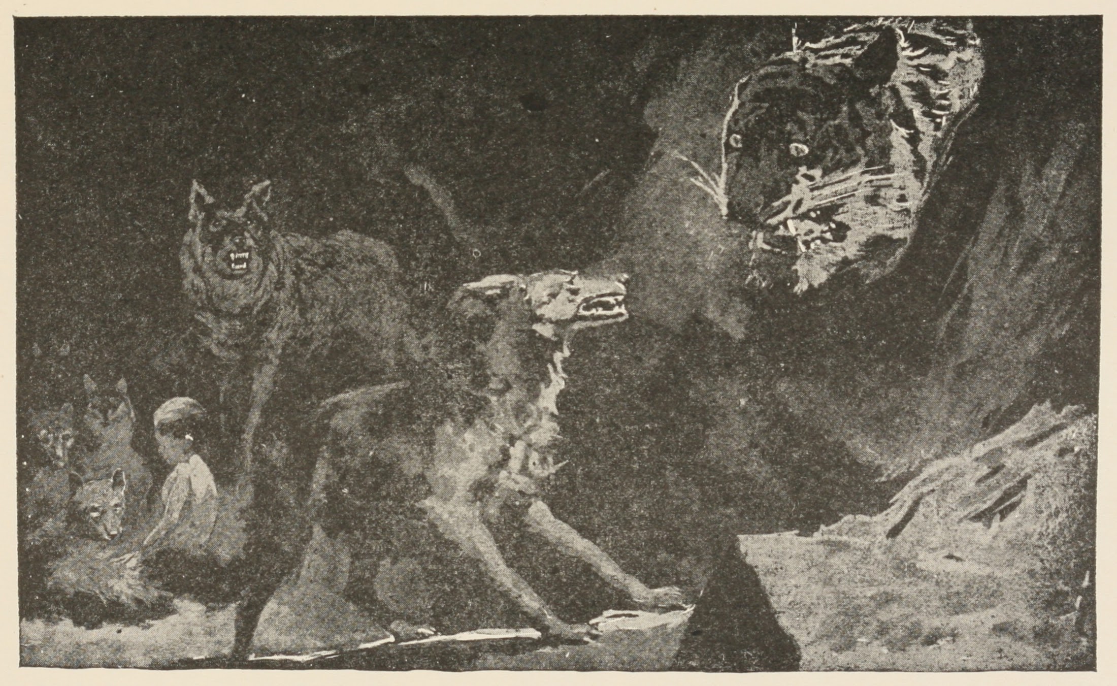image002 251065
