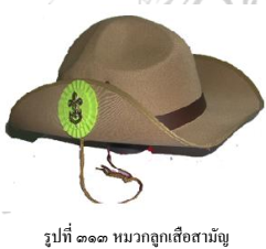 image002 070666