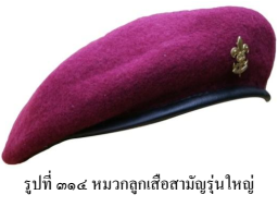 image003 070666
