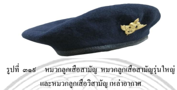 image008 070666