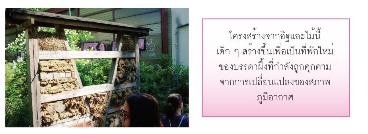 messageImage 1622191793841
