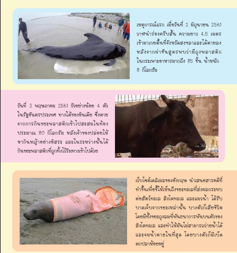 messageImage 1624602732124