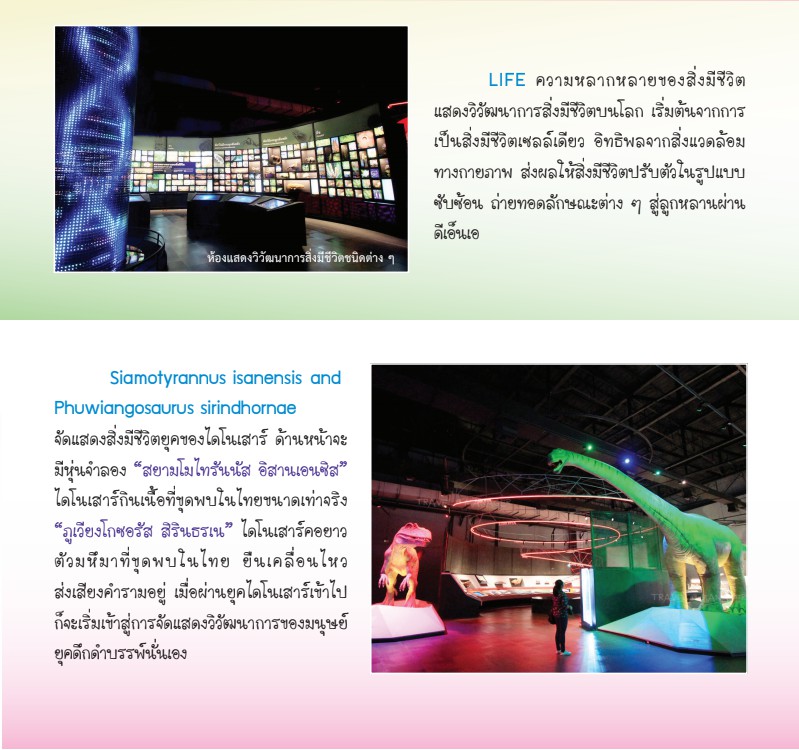 messageImage 1625640446860