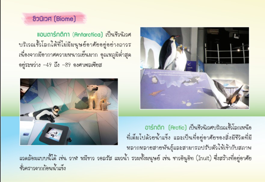 messageImage 1625640528403