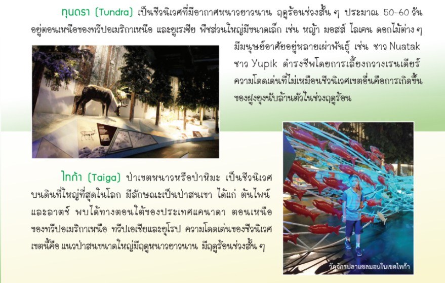 messageImage 1625640546555
