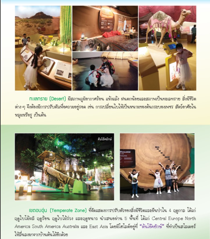 messageImage 1625640607711