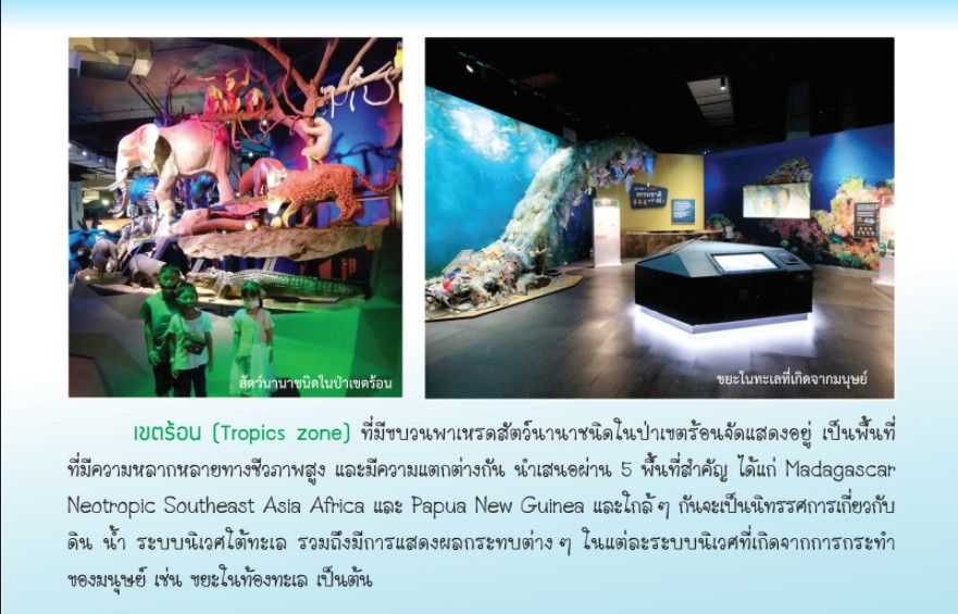 messageImage 1625640638535